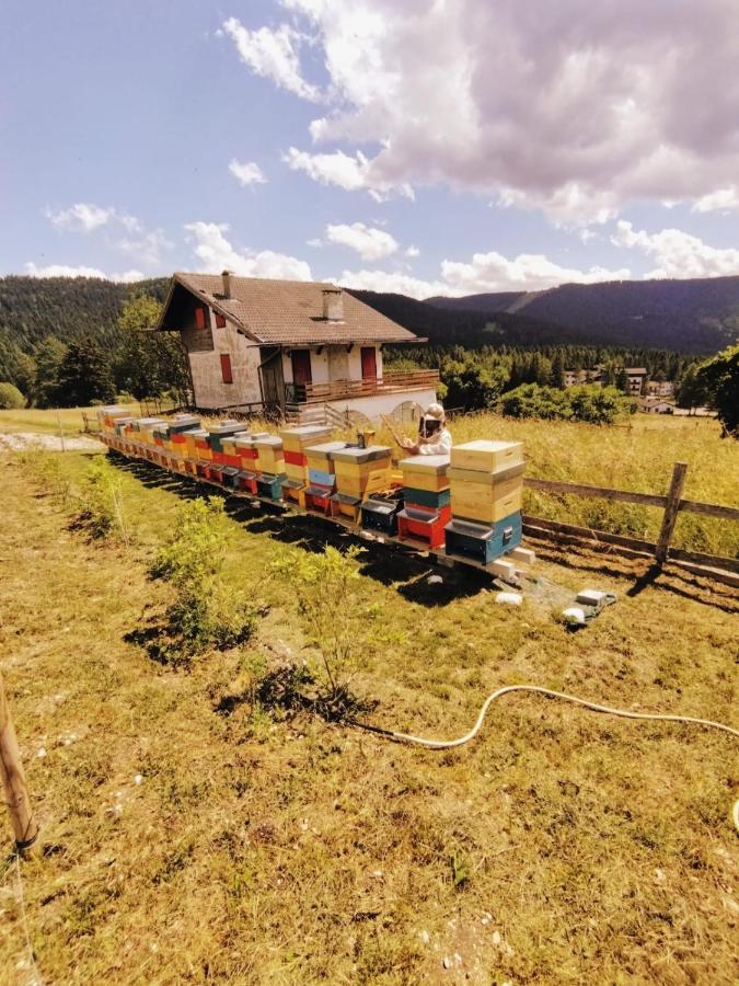 Wanderlust B&B Фольгария Экстерьер фото