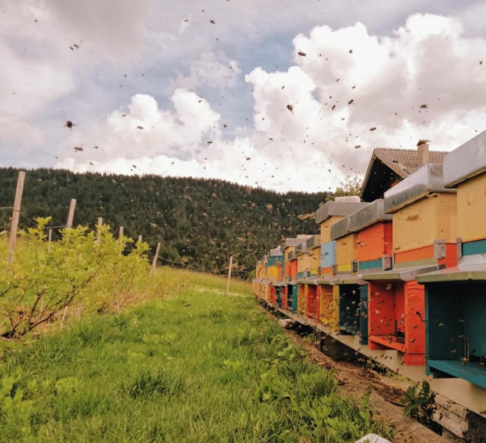 Wanderlust B&B Фольгария Экстерьер фото